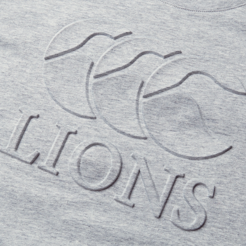 JUNIOR UNISEX BRITISH & IRISH LIONS MONUMENT TEE GREY MARL