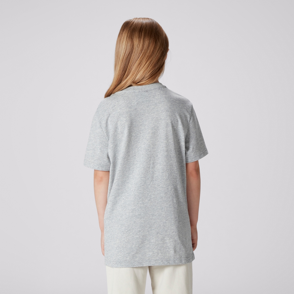 JUNIOR UNISEX BRITISH & IRISH LIONS MONUMENT TEE GREY MARL