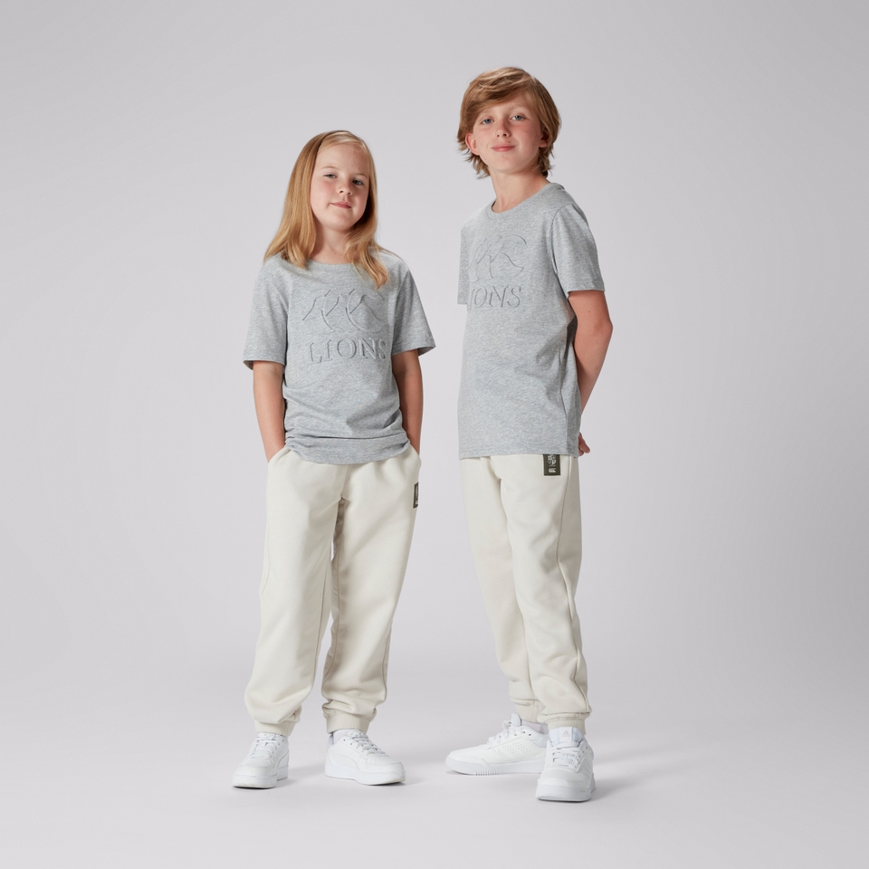 JUNIOR UNISEX BRITISH & IRISH LIONS MONUMENT TEE GREY MARL