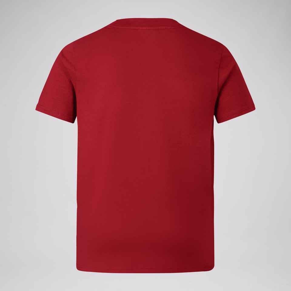 JUNIOR UNISEX BRITISH & IRISH LIONS COTTON JERSEY TEE RED