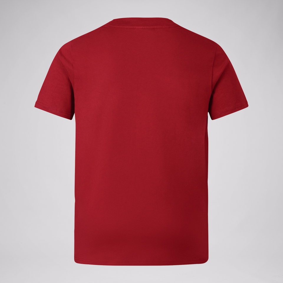 KIDS BRITISH & IRISH LIONS CCC COTTON JERSEY T-SHIRT RED
