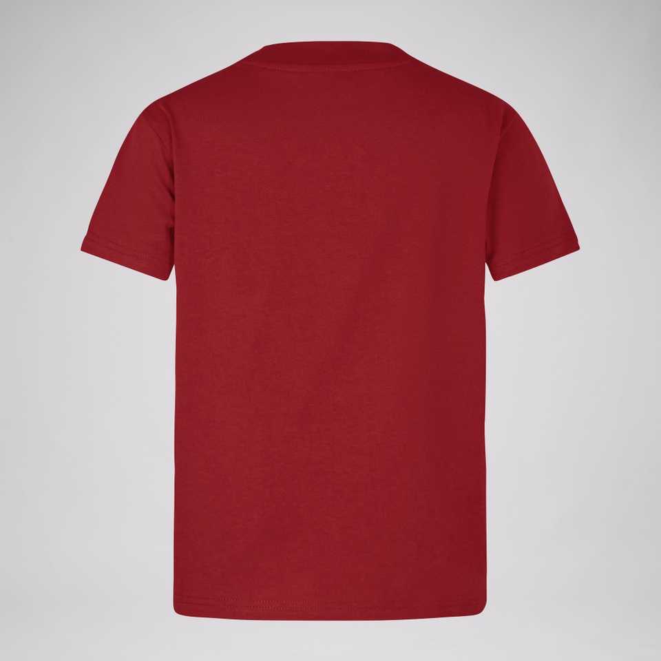 KIDS BRITISH & IRISH LIONS CCC LITTLE LIONS T-SHIRT RED