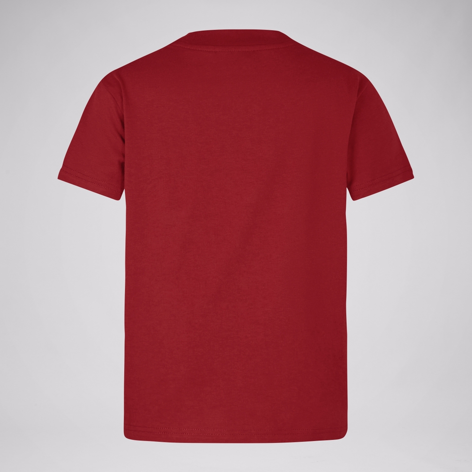 JUNIOR UNISEX BRITISH & IRISH LIONS LITTLE LIONS TEE RED