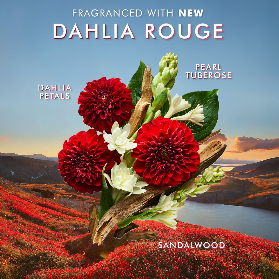 Moroccanoil Dahlia Rouge Body Duo (Worth £43)