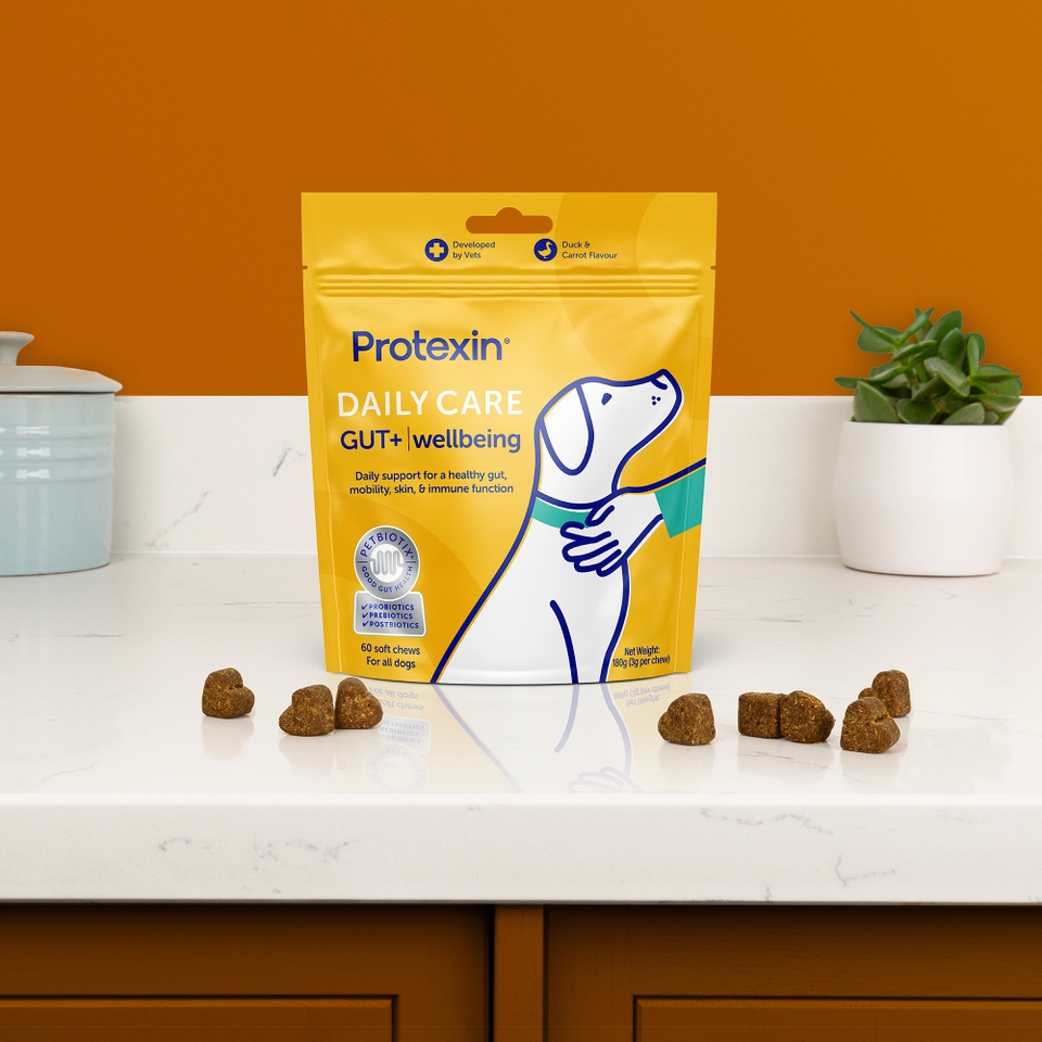 Protexin Daily Care Gut+ Wellbeing, Duck and Carrot Flavour, 60 Chews