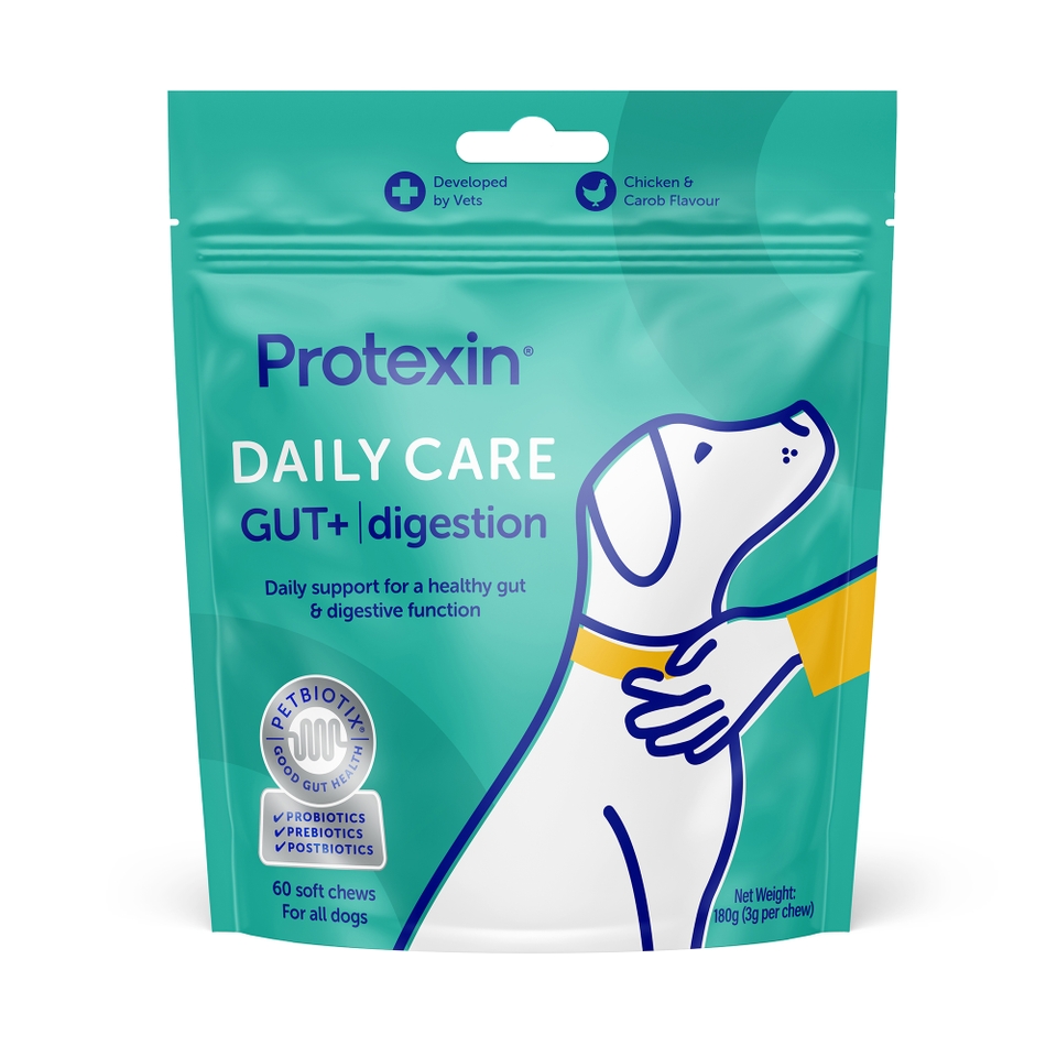 Protexin Daily Care Gut+ Digestion, Chicken and Carob Flavour, 60 Chews