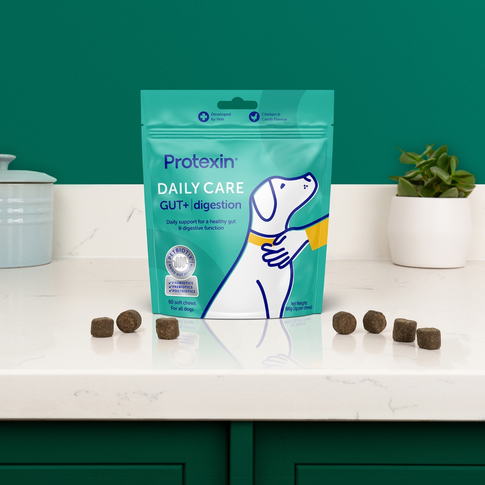 Protexin Daily Care Gut+ Digestion, Chicken and Carob Flavour, 60 Chews