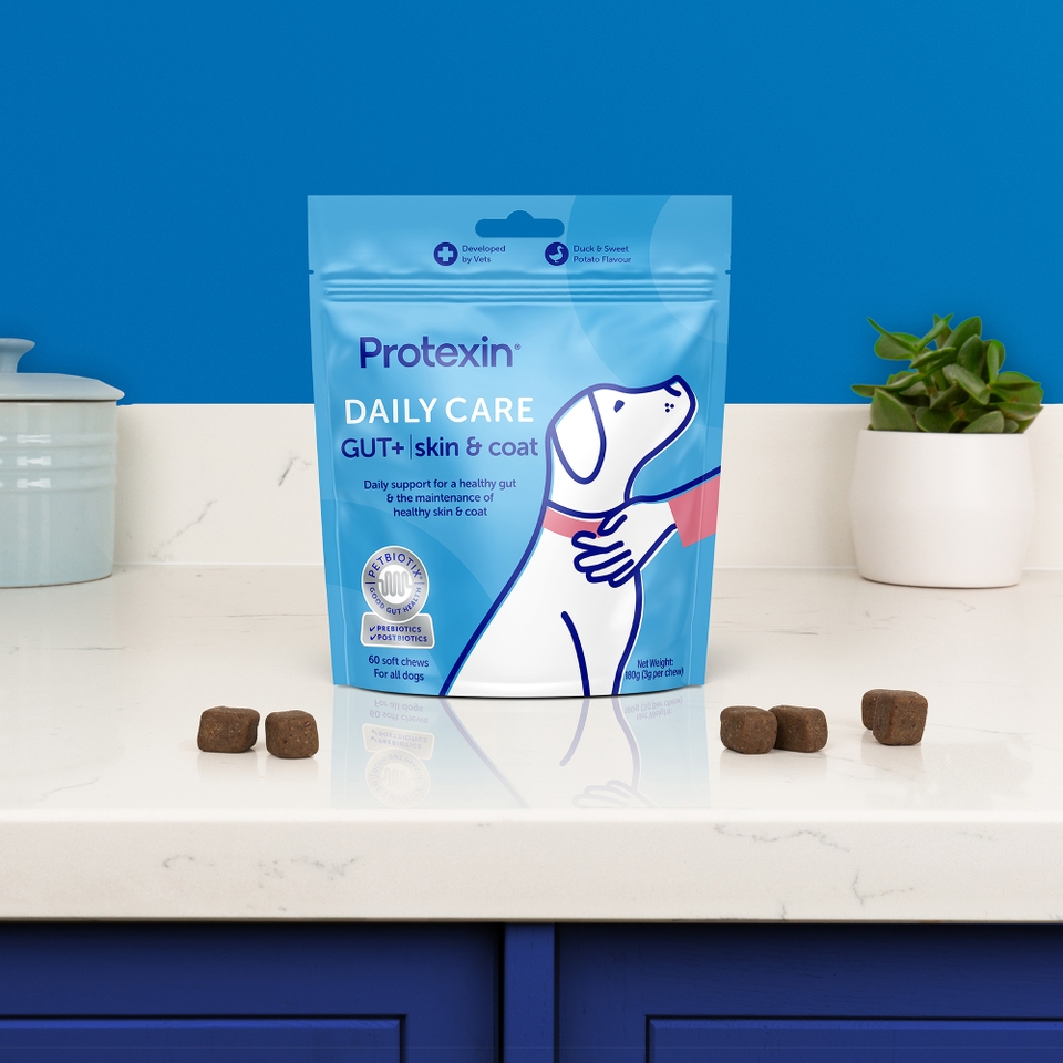 Protexin Daily Care Gut+ Skin & Coat, Salmon and Sweet Potato Flavour, 60 Chews