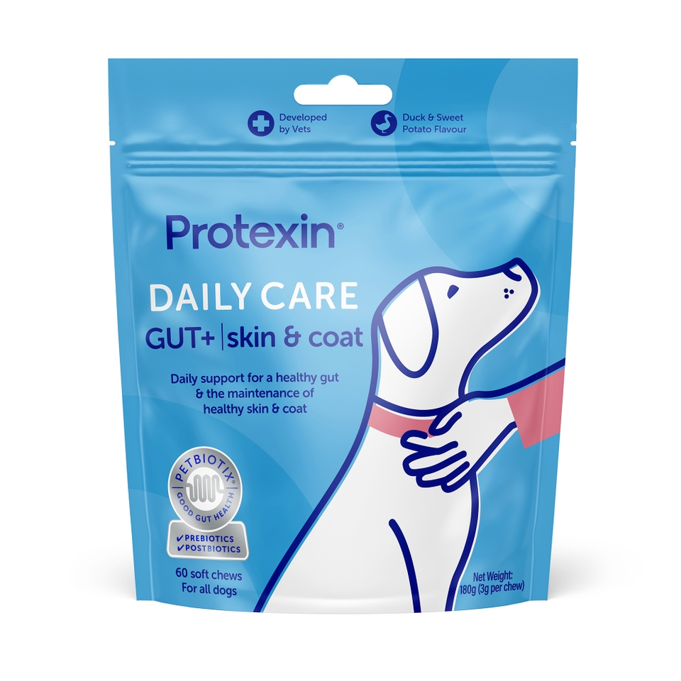 Protexin Daily Care Gut+ Skin & Coat, Salmon and Sweet Potato Flavour, 60 Chews