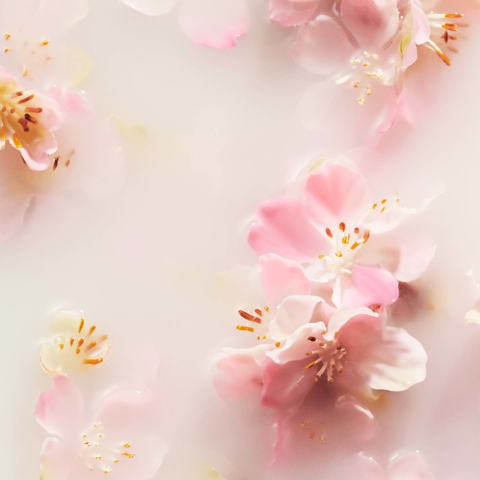 Rituals The Ritual of Sakura Floral Cherry Blossom and Rice Milk Sakura Foaming Body Wash 200ml