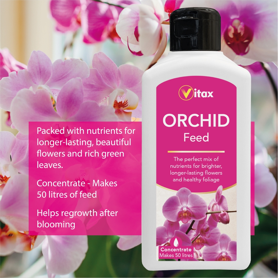Vitax Orchid Feed Concentrate - 250ml