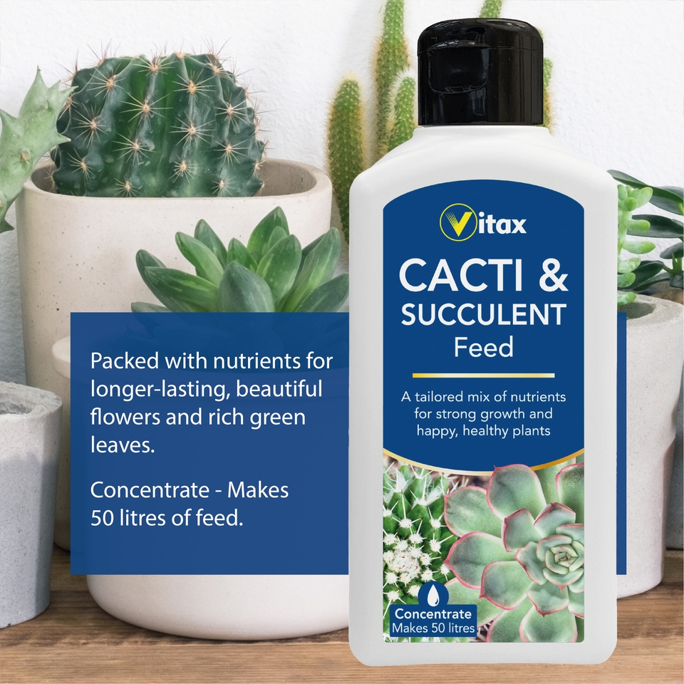 Vitax Cacti & Succulent Feed Concentrate - 250ml