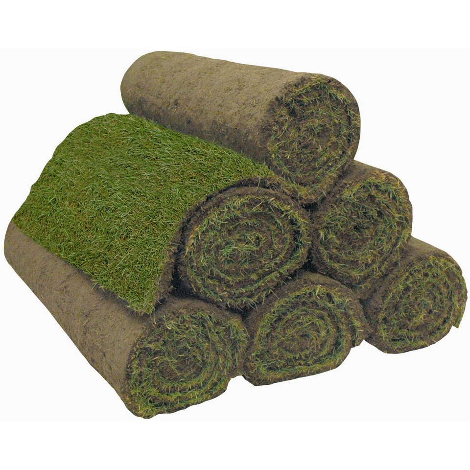 Classic Fresh Lawn Turf - 50 Rolls/50 sqm coverage