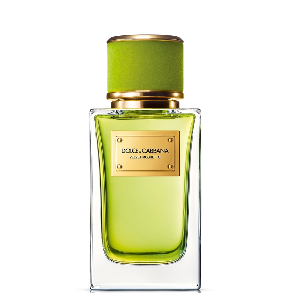 Dolce gabbana velvet vetiver 150ml online