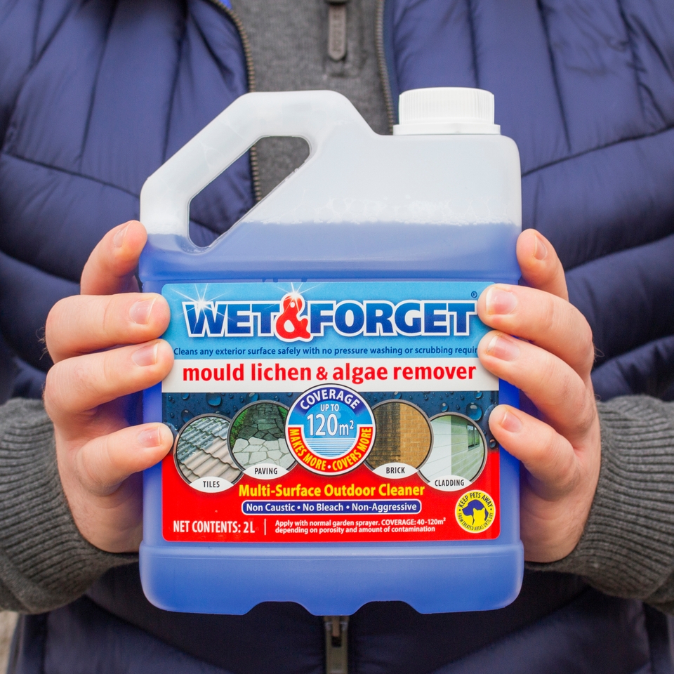 Wet & Mould, Lichen & Algae Remover 2L Homebase