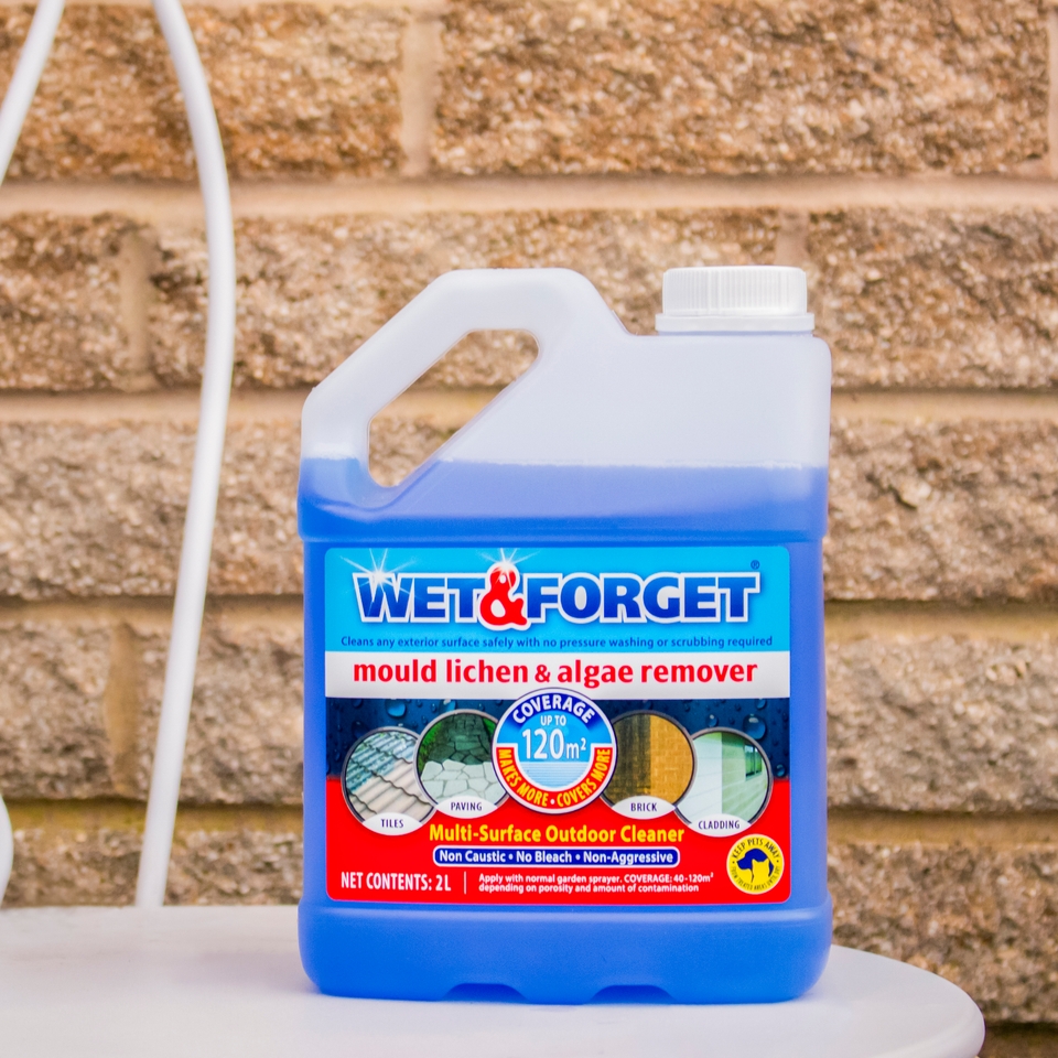 Wet & Mould, Lichen & Algae Remover 2L Homebase