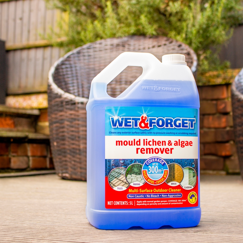 Wet & Mould, Lichen & Algae Remover 5L Homebase