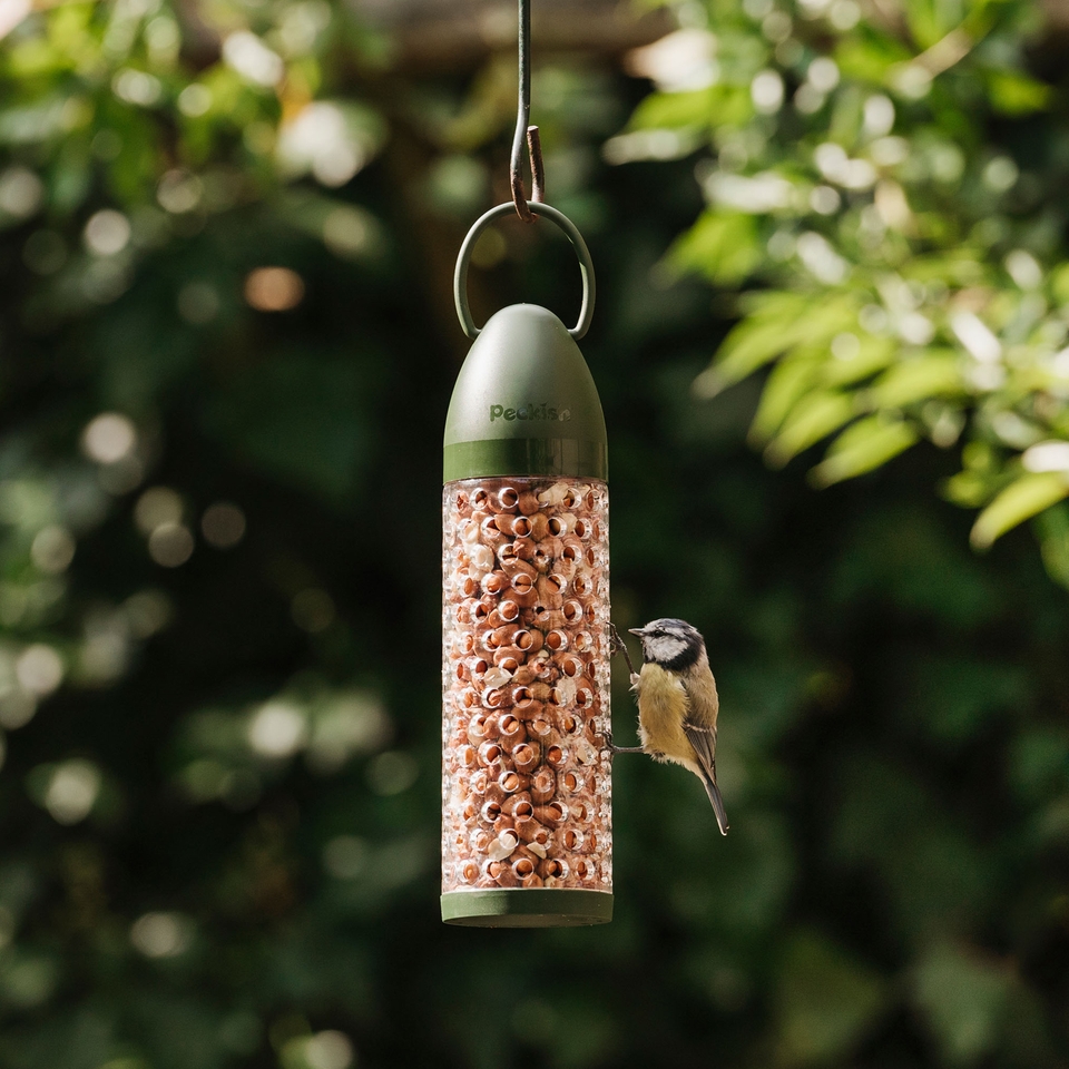 Peckish Peanut Ready to Use Feeder for Wild Birds Homebase