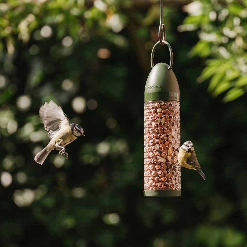 Peckish Peanut Ready to Use Feeder for Wild Birds Homebase