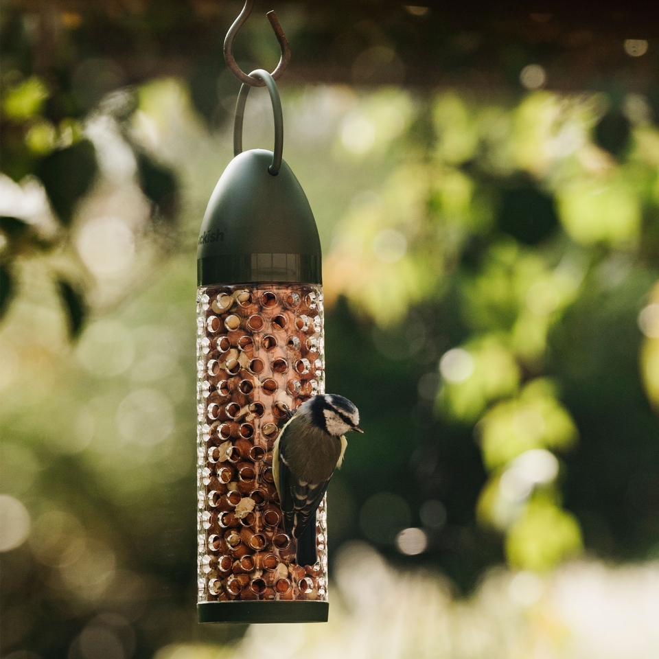 Peckish Peanut Ready to Use Feeder for Wild Birds Homebase