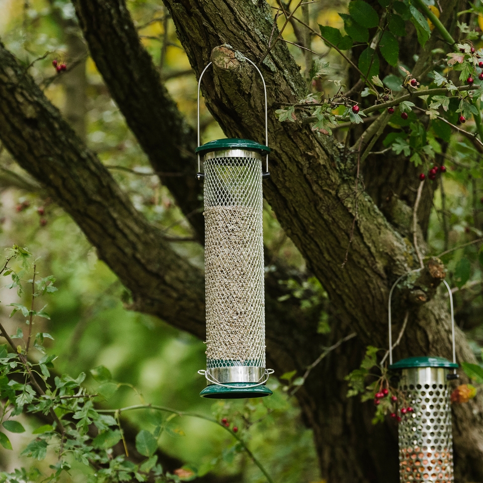 Peckish All Weather Sunflower Heart Feeder for Wild Birds