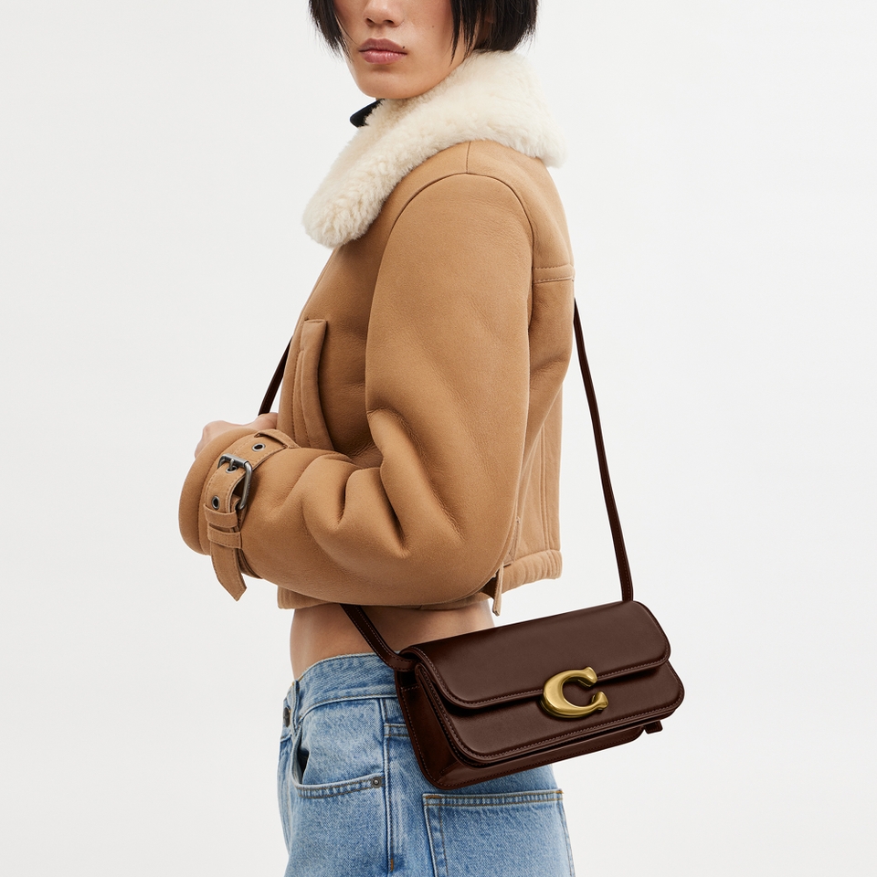 Coach Leather Idol 23 Shoulder Bag