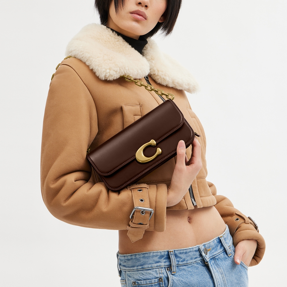 Coach Leather Idol 23 Shoulder Bag