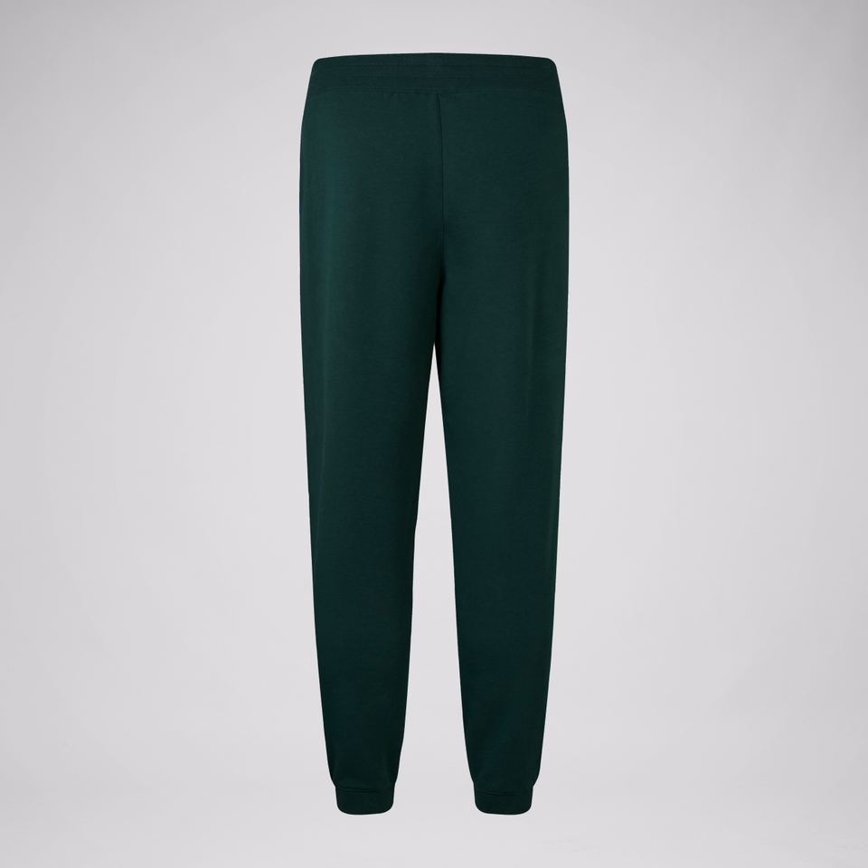ADULT UNISEX BRITISH & IRISH LIONS STEALTH FLEECE PANT