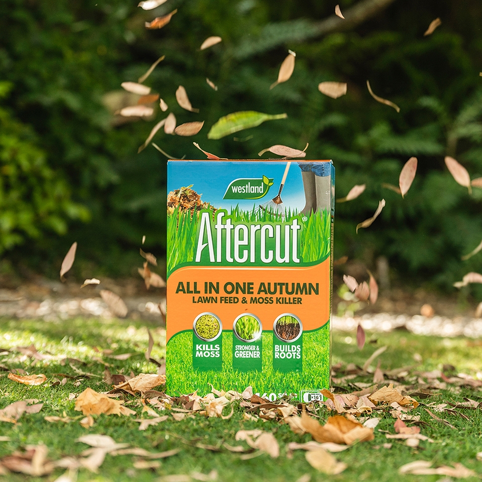 Aftercut All In One Autumn 160m2 Box