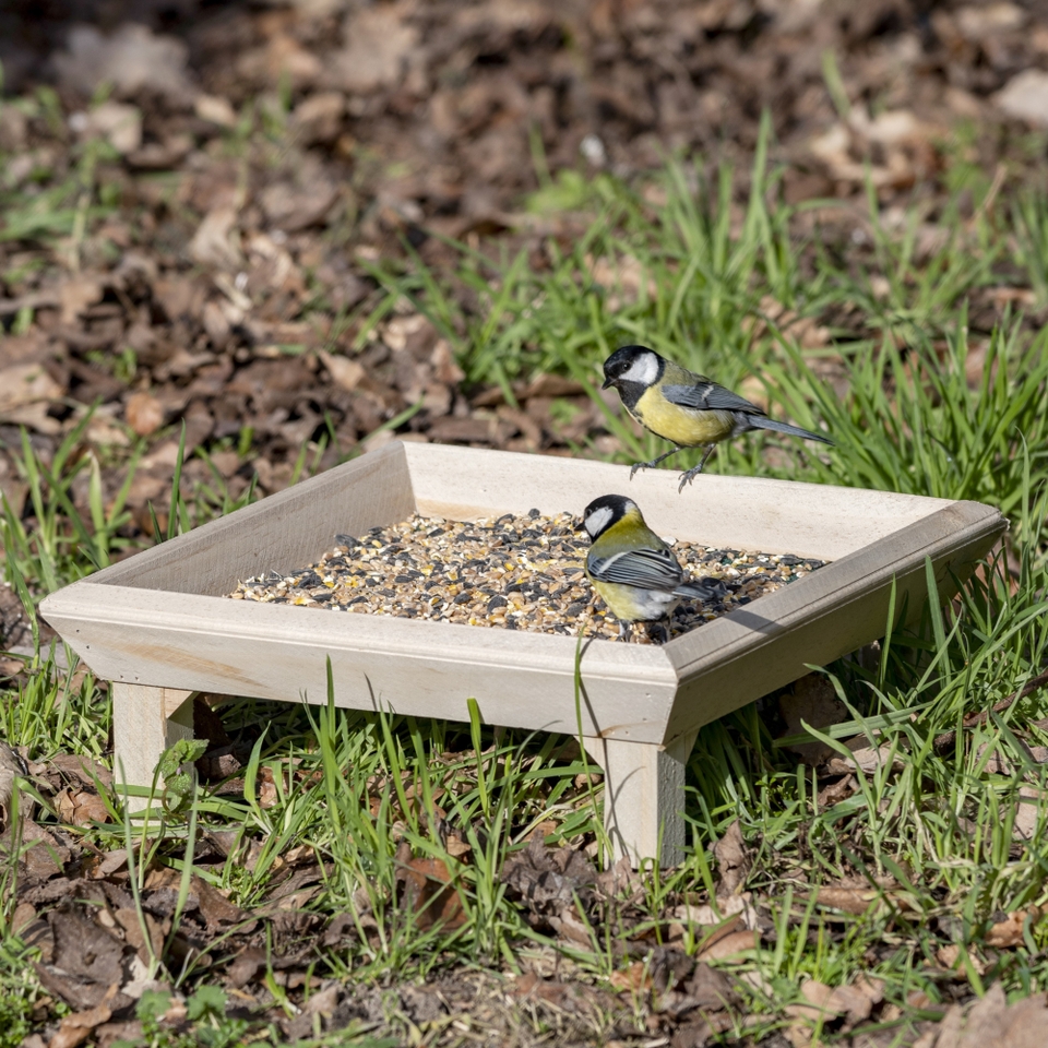 National Trust Square Ground Feeding Table