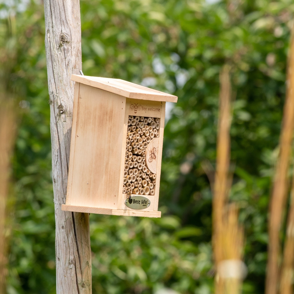 CJ Wildlife Fernandina Insect Hotel