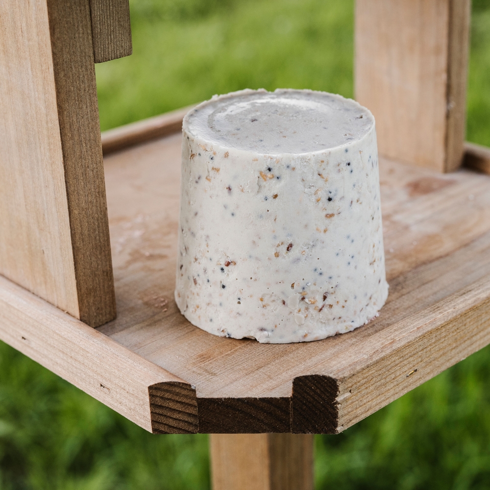 Peckish Extra Goodness Mealworm Table Topper for Wild Birds