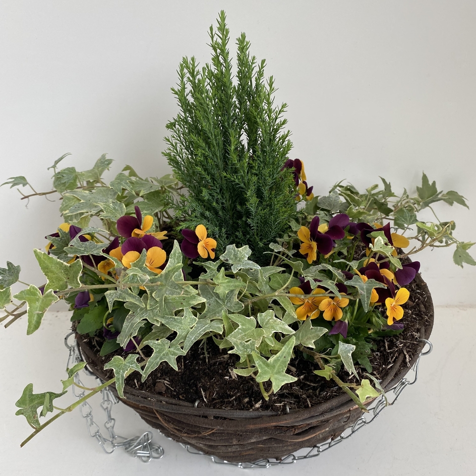 Rattan Hanging Basket  Premium Selection Autumn - 30cm