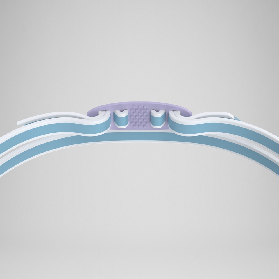 Womens Vanquisher 3.0 Goggles Blue/Purple