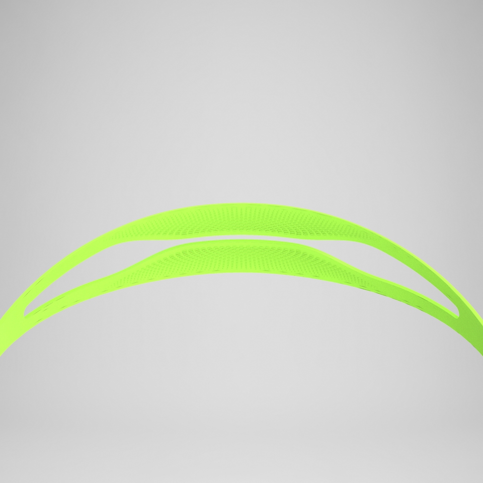 Adult Biofuse 2.0 Goggles Green/Grey