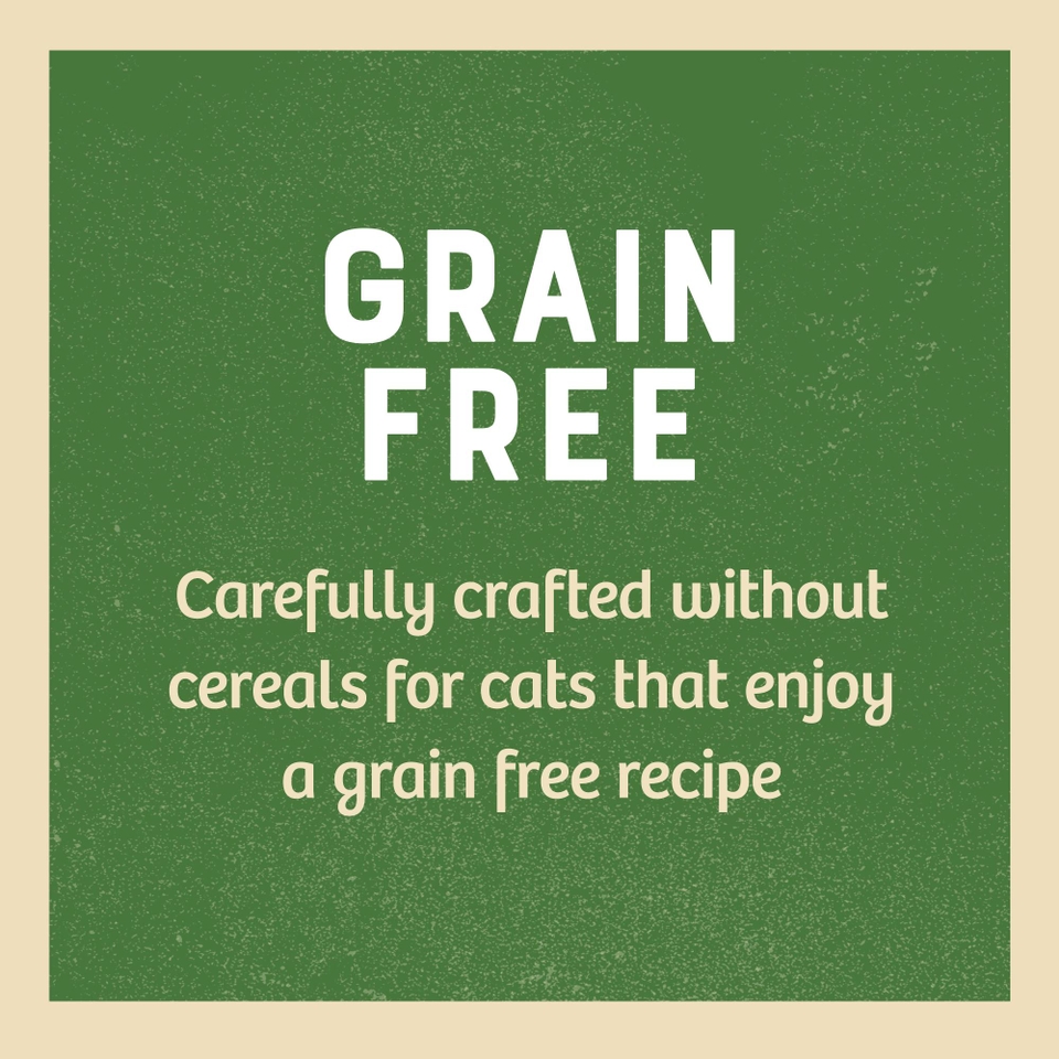 Senior Chicken in Jelly Grain Free Wet Cat Food Pouches 12 pouches