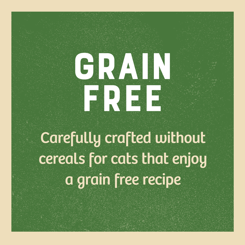Adult Turkey In Gravy Grain Free Wet Cat Food Pouches 24 pouches