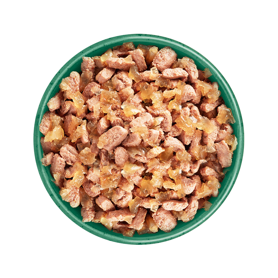 Senior Turkey in Gravy Grain Free Wet Cat Food Pouches