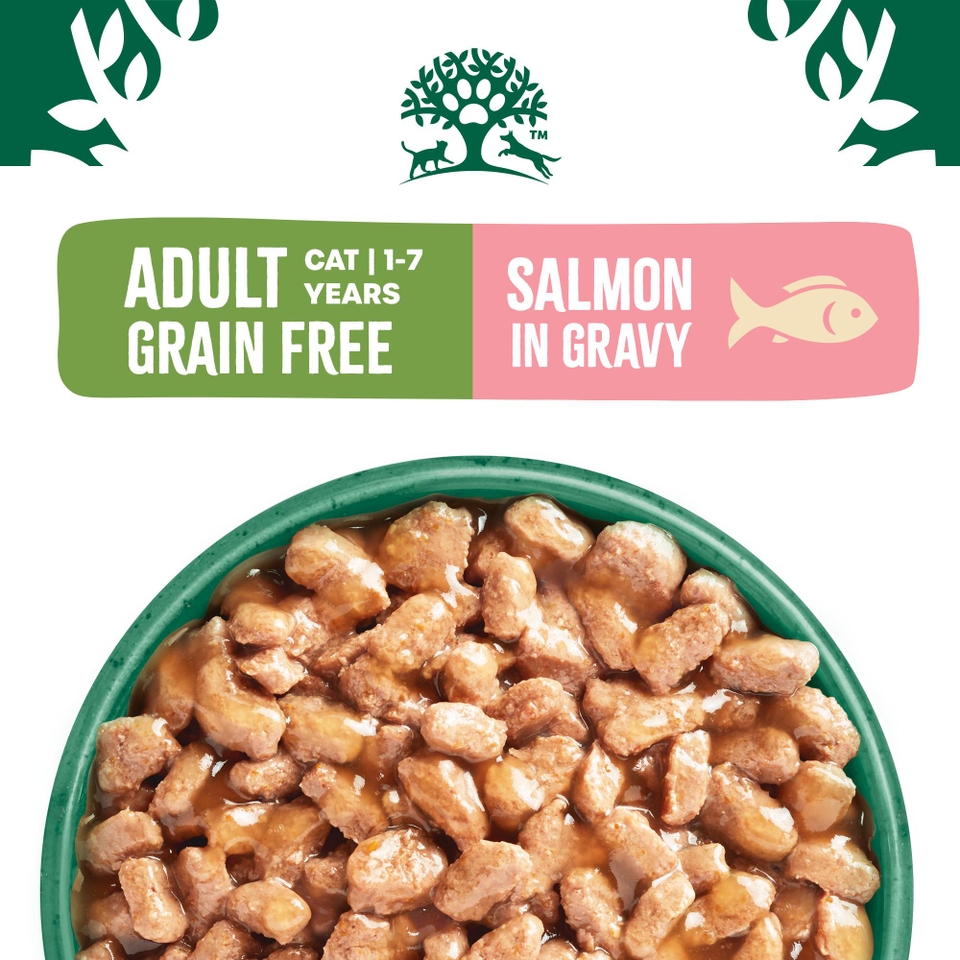 Adult Salmon in Gravy Grain Free Wet Cat Food Pouches