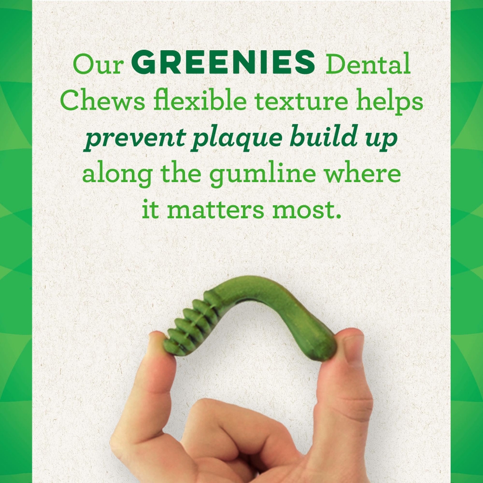 Greenies Petite Dogs Treat Original