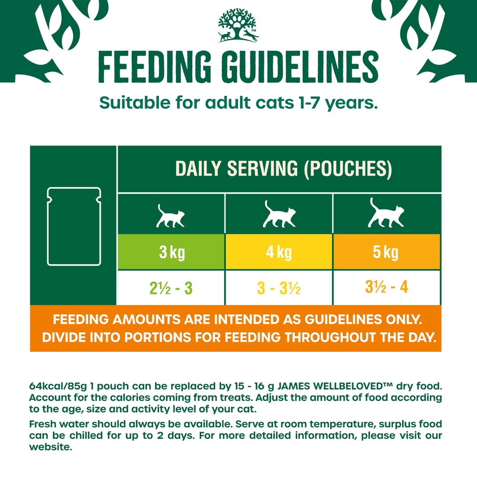Adult Salmon in Jelly Grain Free Wet Cat Food Pouches 48 pouches