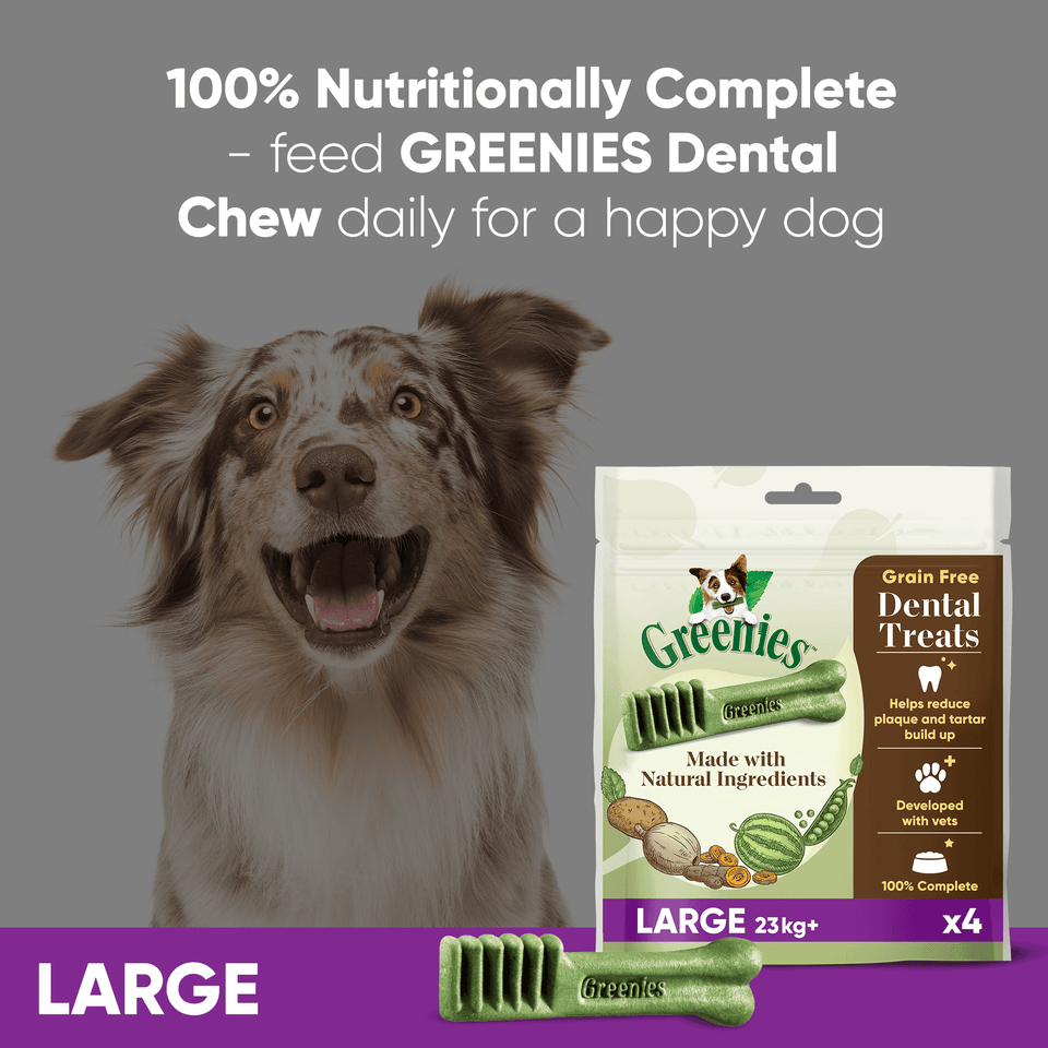 Greenies Large Dogs Treat Grain Free
