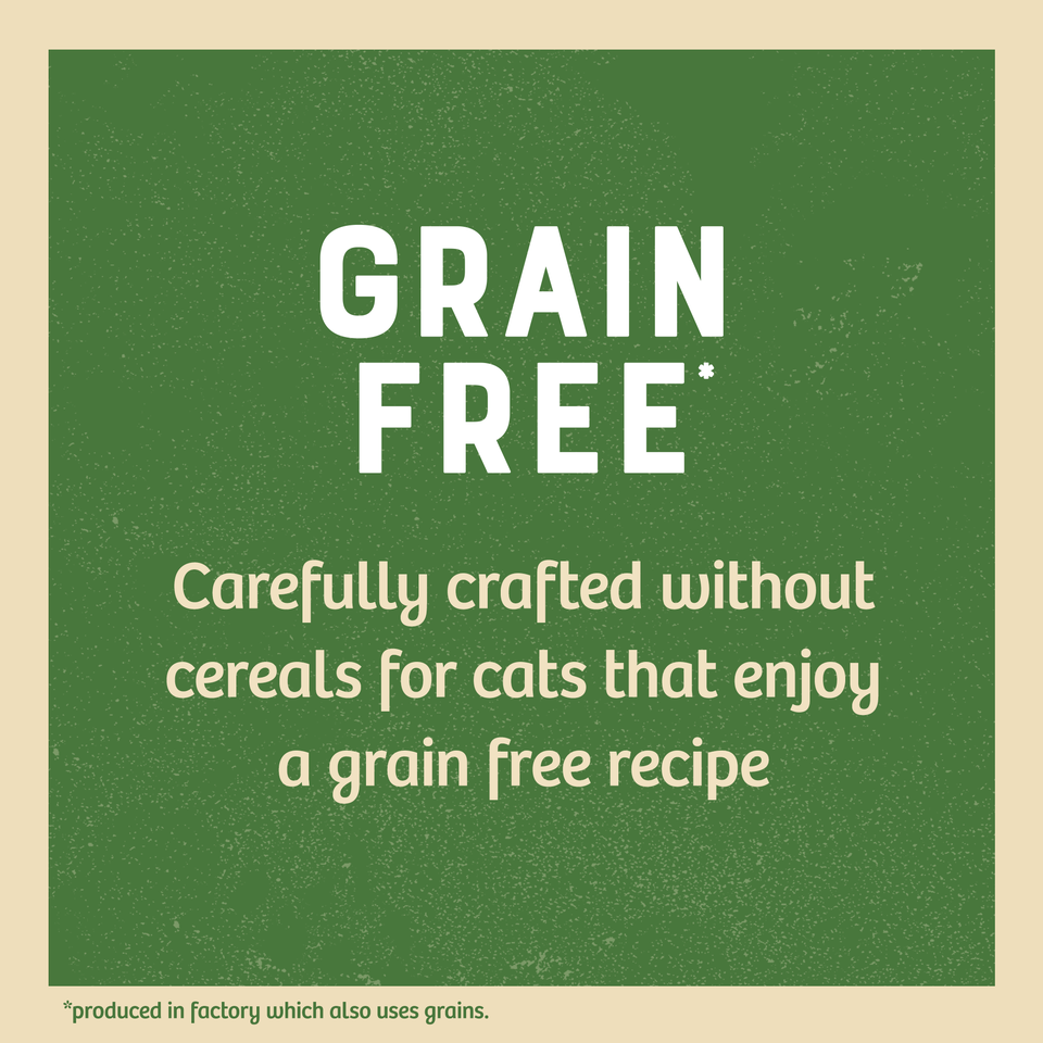 Kitten Turkey in Gravy Grain Free Wet Cat Food Pouch 12 pouches