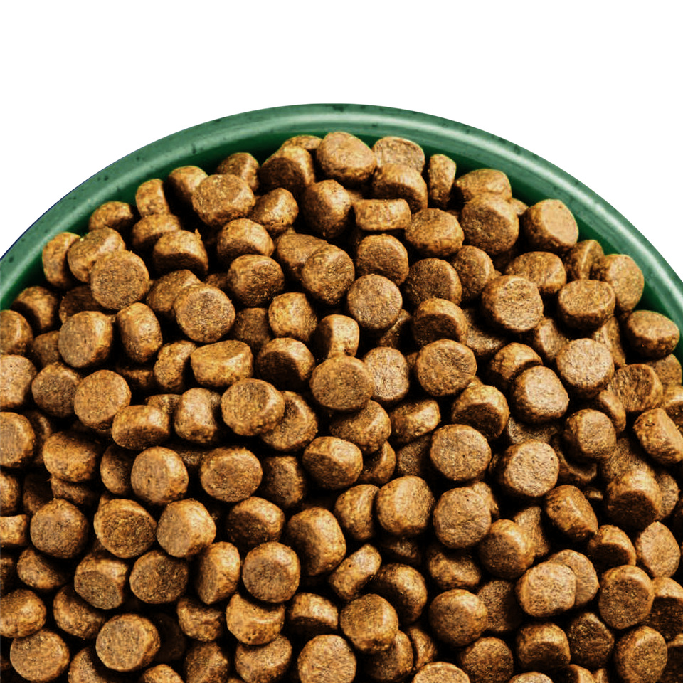 Adult Chicken & Turkey High Protein Dry Dog Food 7kg