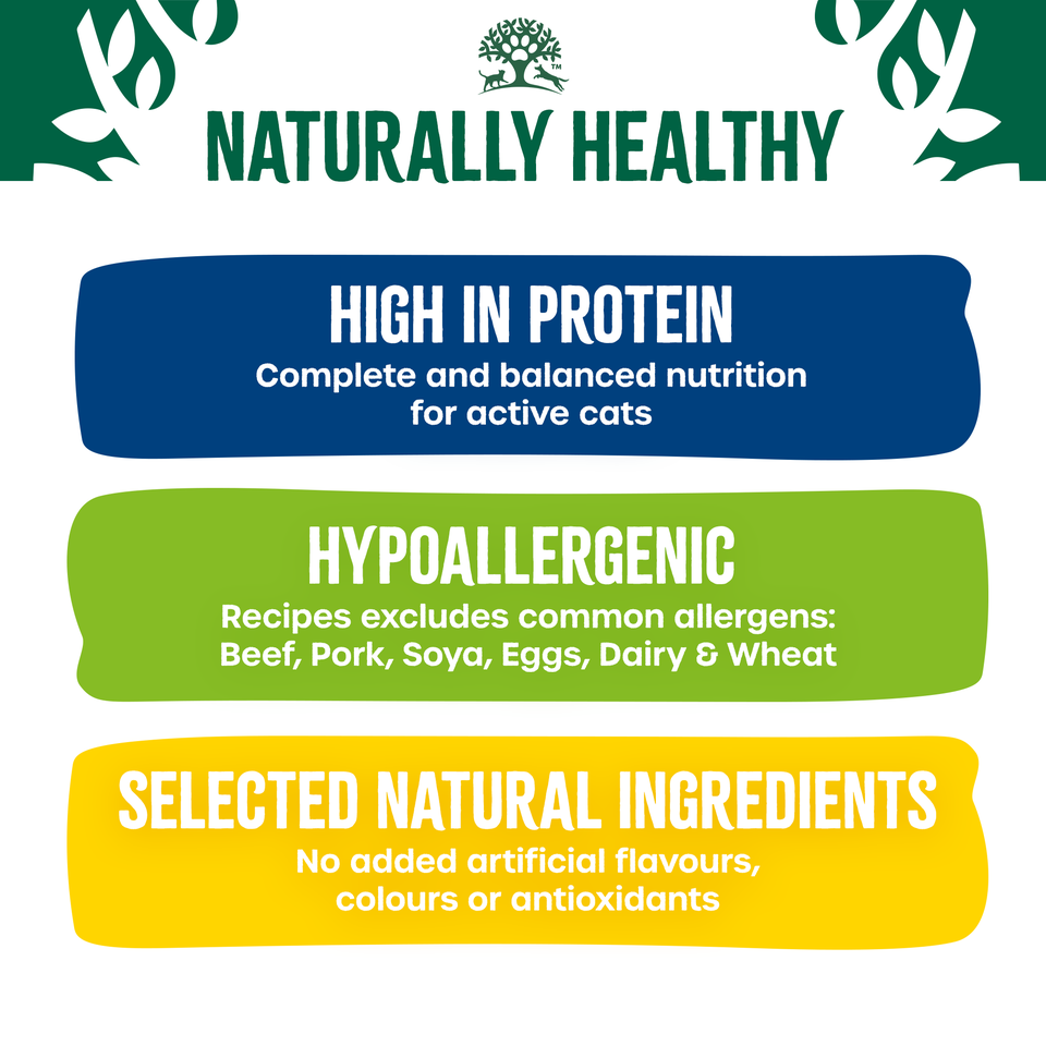 Adult Chicken & Turkey High Protein Dry Cat Food 7kg