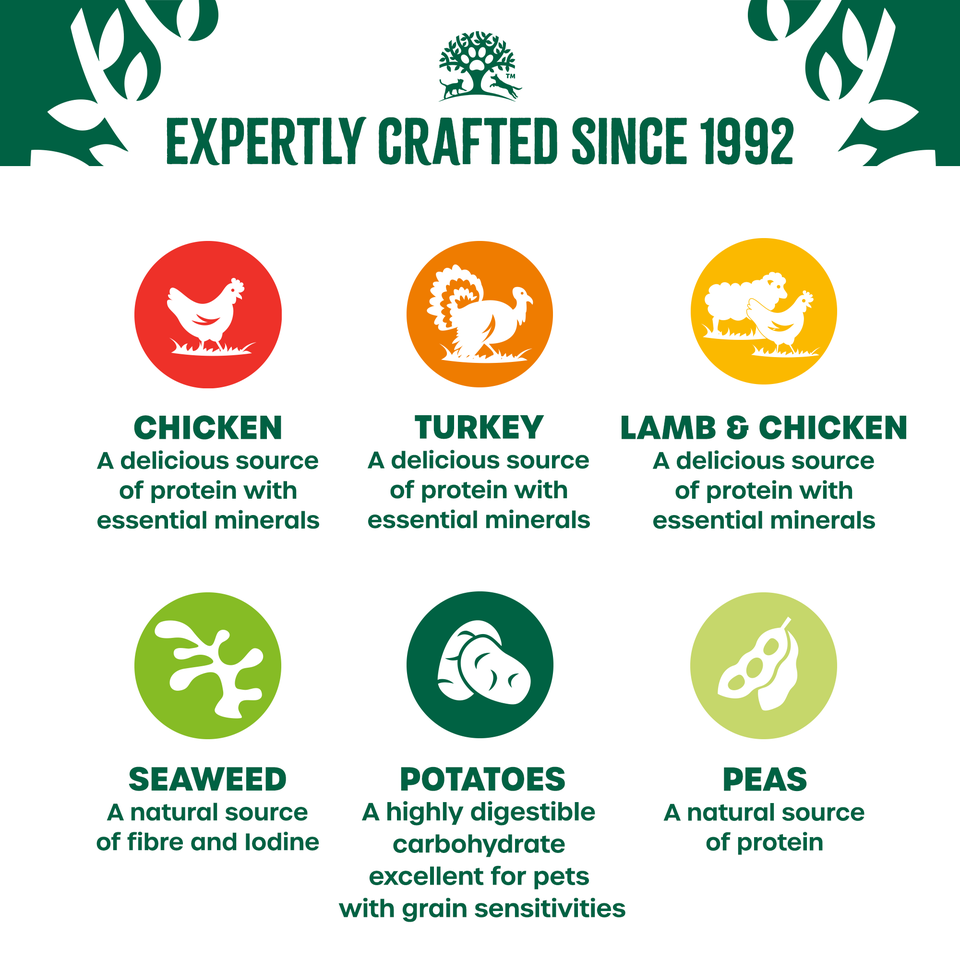 Adult Turkey, Lamb and Chicken in Loaf Grain Free Wet Dog Food 12 cans