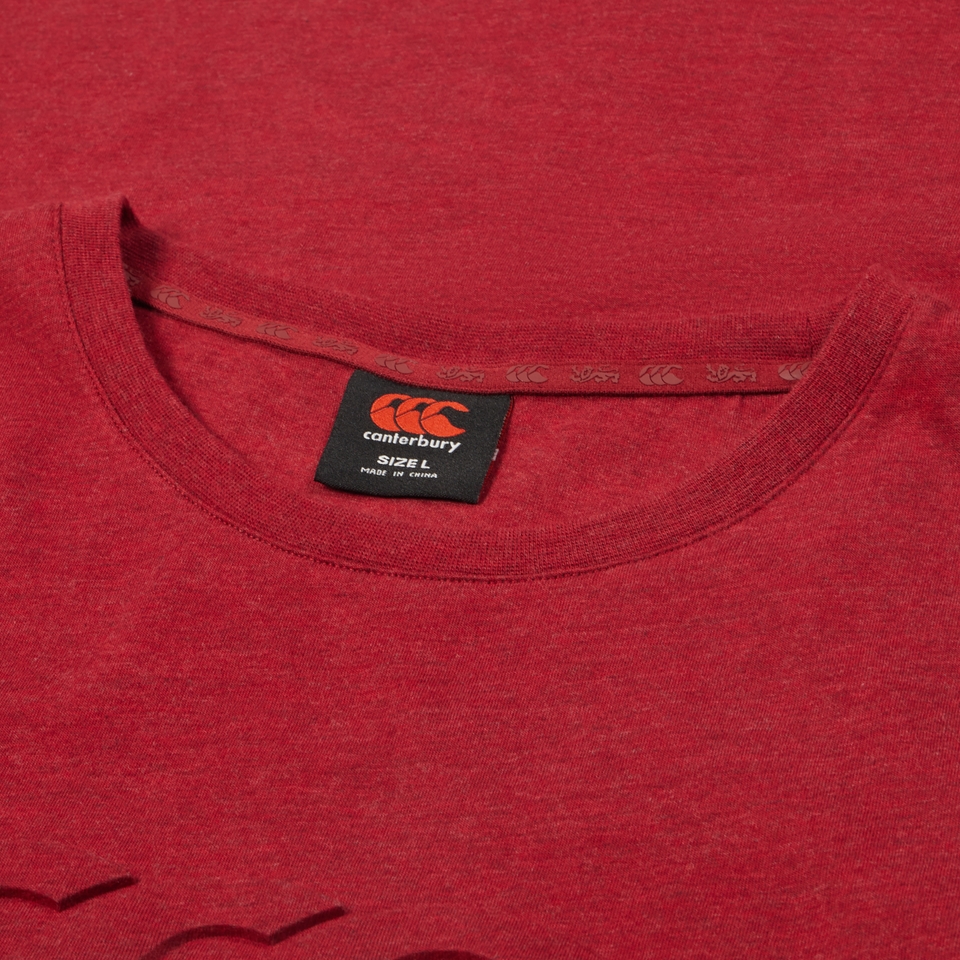 ADULT UNISEX BRITISH & IRISH LIONS MONUMENT TEE RED