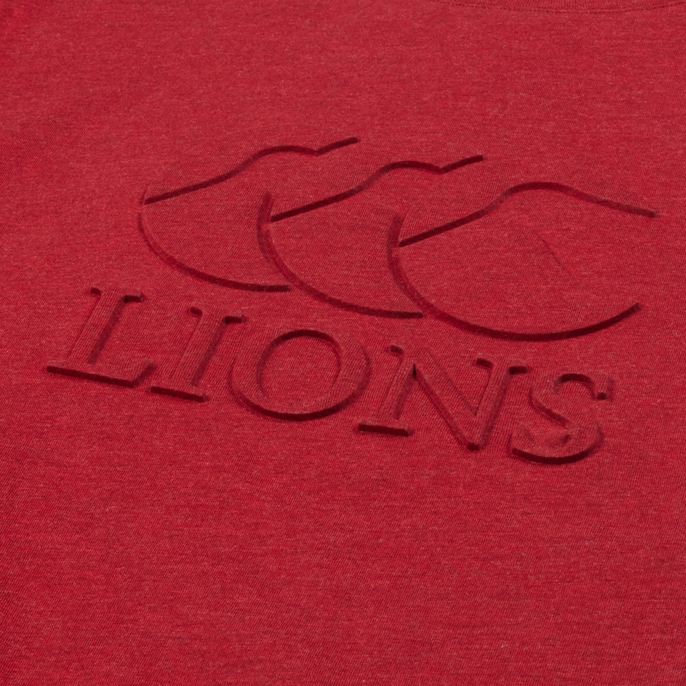 ADULT UNISEX BRITISH & IRISH LIONS MONUMENT TEE RED