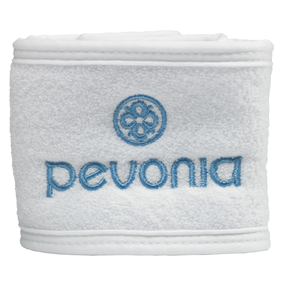 Pevonia Blue Embroidered Headband