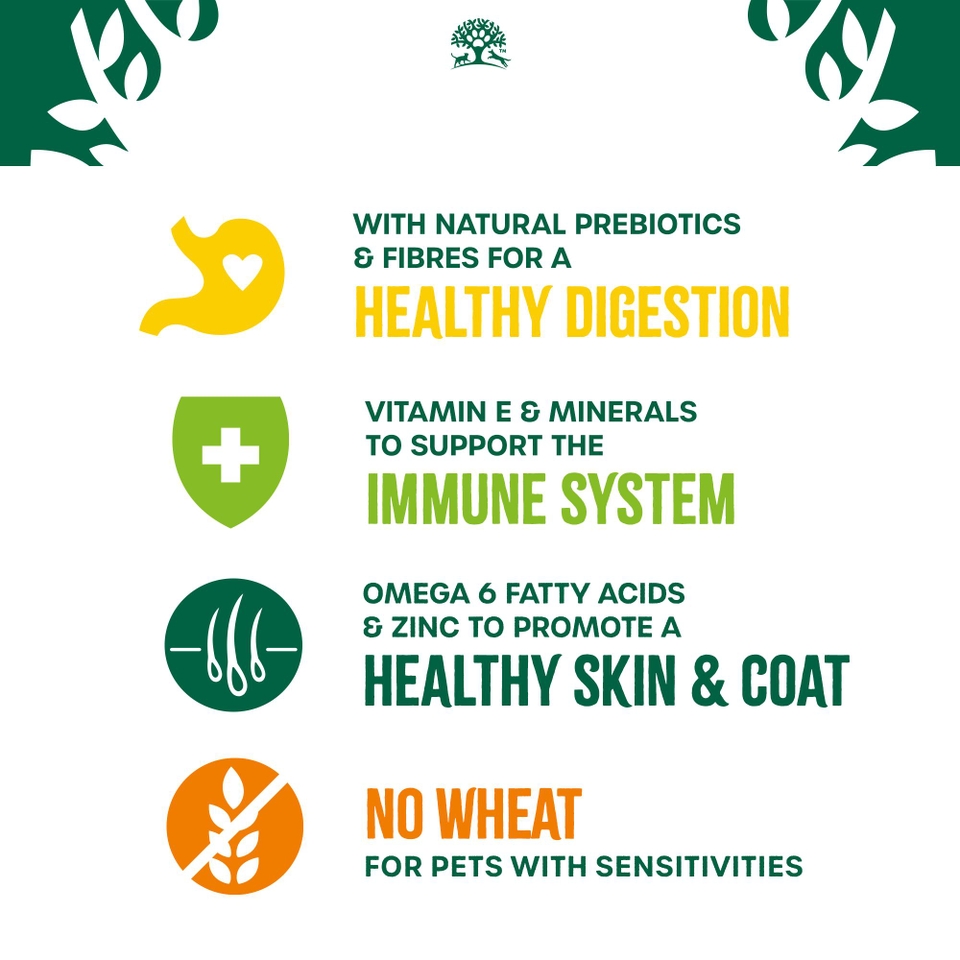 Adult Fish & Rice Dry Cat Food